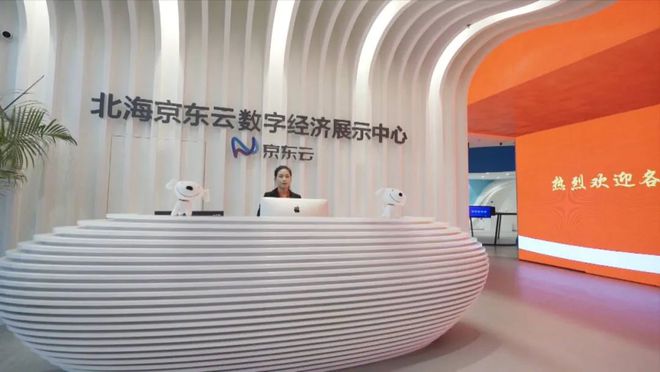 數(shù)創(chuàng)未來 北海如何以軟件開發(fā)為引擎，打造廣西高端服務業(yè)新標桿